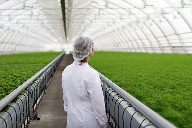 Future-Food-Safety-web2