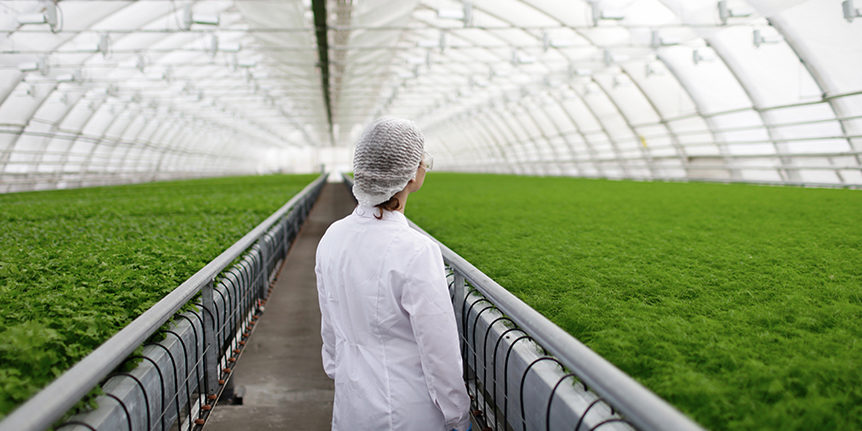 Future-Food-Safety-web2