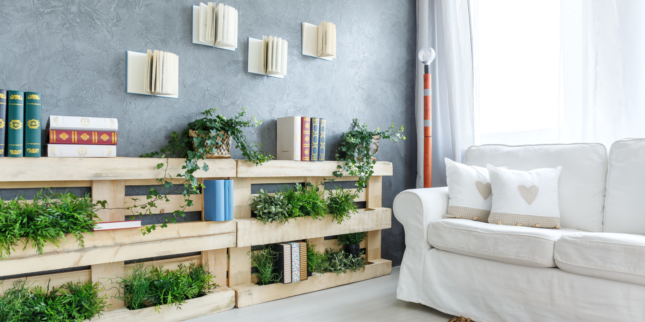 Green,Plants,On,The,Wooden,Bookshelf,In,Cozy,Living,Room