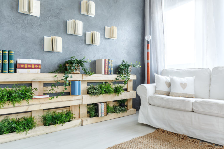 Green,Plants,On,The,Wooden,Bookshelf,In,Cozy,Living,Room